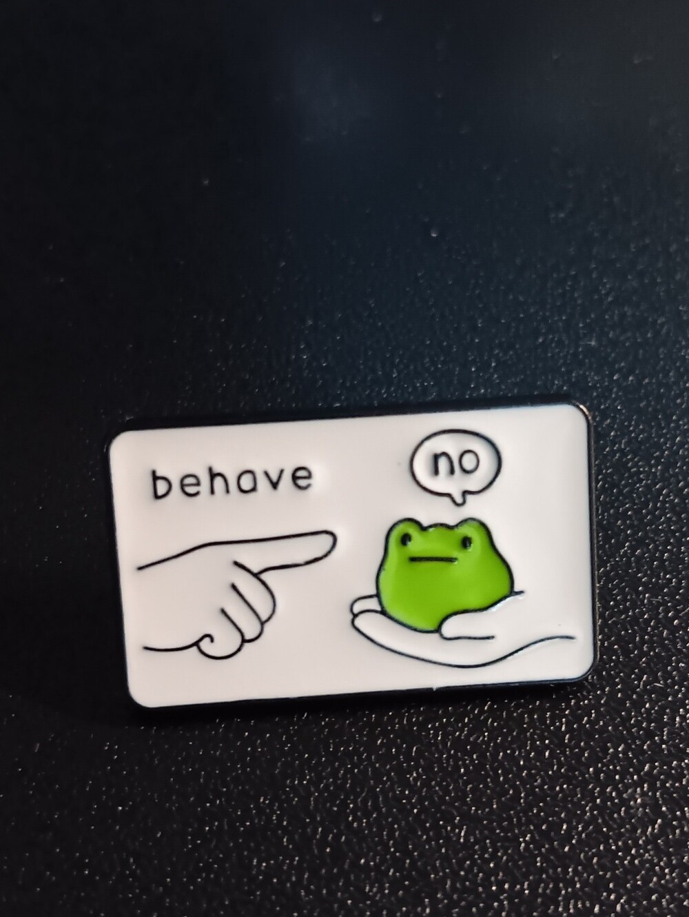 Behave Brooch (New)